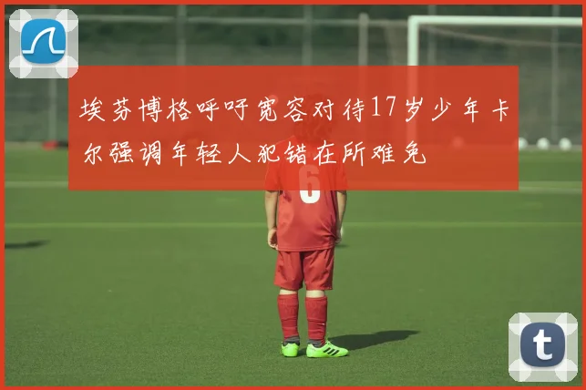 埃芬博格呼吁宽容对待17岁少年卡尔强调年轻人犯错在所难免